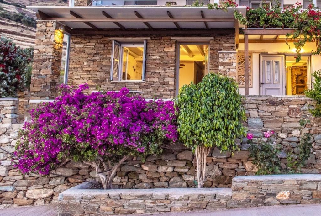 度假居 Oikia Petra Agios Ioannis (Tinos)